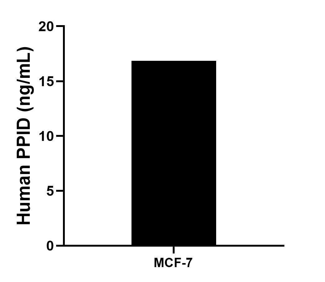 Sample test of MP01018-4